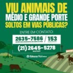 Prefeitura de Itaboraí inicia trabalho de apreensão de animais soltos nas vias públicas