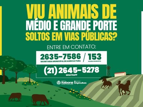 Prefeitura de Itaboraí inicia trabalho de apreensão de animais soltos nas vias públicas