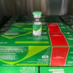 Itaboraí reforça a importância da vacinação contra o HPV para adolescentes e jovens 2