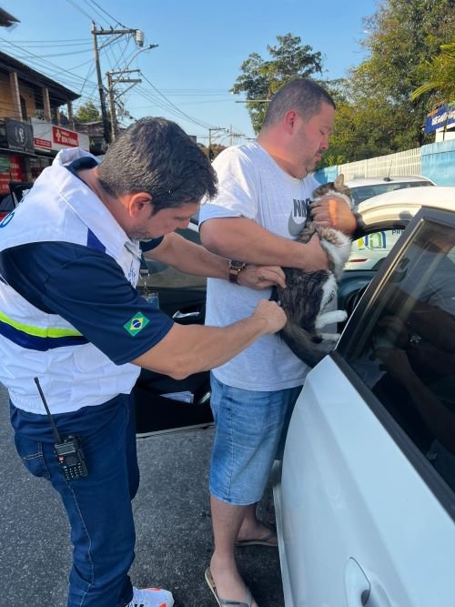 0da10b5c-be67-490a-b915-a8c569922dd0