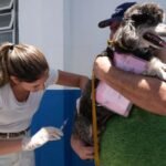 507c70e4-3d9d-473f-8241-50d09715dc26