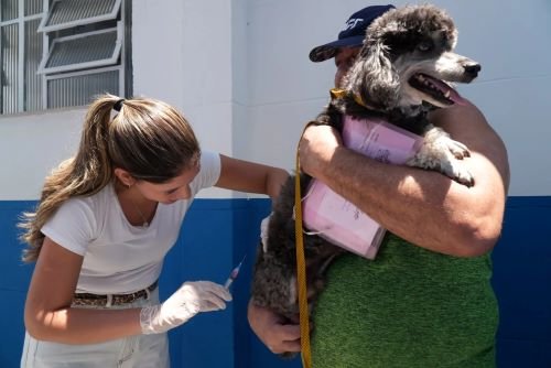 507c70e4-3d9d-473f-8241-50d09715dc26