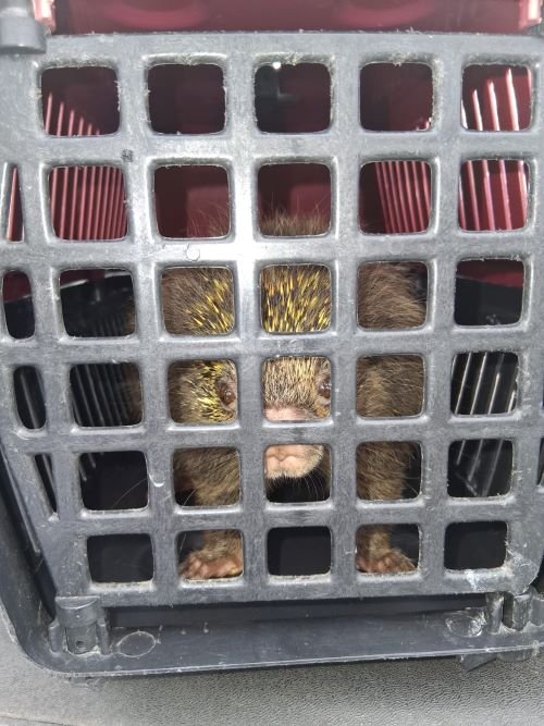 d5772682-5ab5-4409-b724-9e8d41d348c0