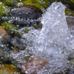 11372970-535f-2a9c-2340-271e12f6489a