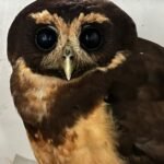 206488d5-97c4-4989-8b76-729d873c2bda