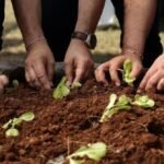 agricultura social (4)