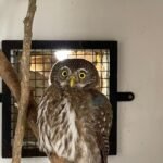 c23e9a75-2d02-4870-93f1-54b108adee49