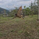 13fc3ac2-33eb-46ce-9658-12c37645f21a