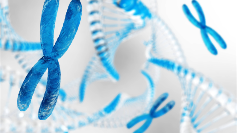 2d634e47-bd7d-fb4f-bedb-df13b7aaf116