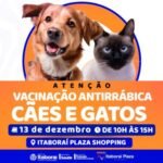 Itaboraí promove vacinação antirrábica para cães e gatos neste sábado (1312) no Itaboraí Plaza Shopping 01