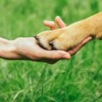 18c37cda-1fcb-2585-d726-f53f0814f285