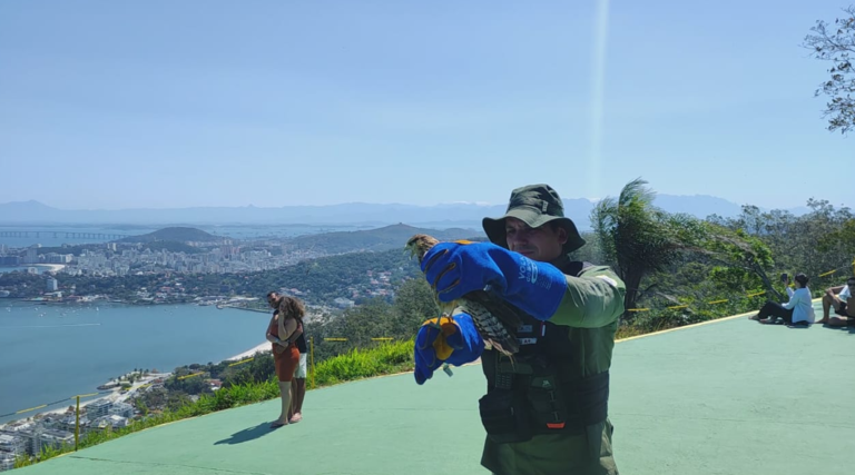 Captura de tela 2026-01-20 204826