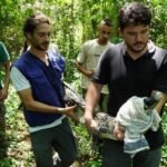 50779d74-e947-458eAnimal