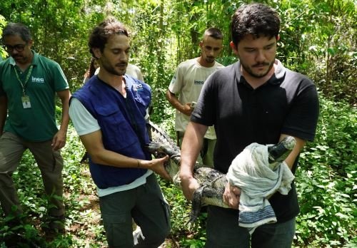 50779d74-e947-458eAnimal