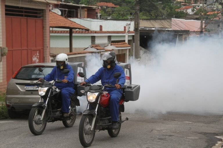 Acao-Contra-Dengue-no-Camarao-8-1