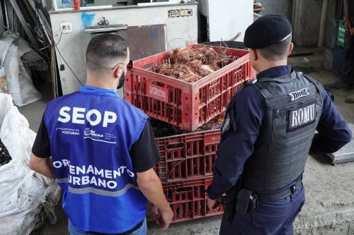 36f94b62-8b8e-44e3-85b6-b233ec0812ee