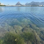 Lagoa Rodrigo de Freitas 1