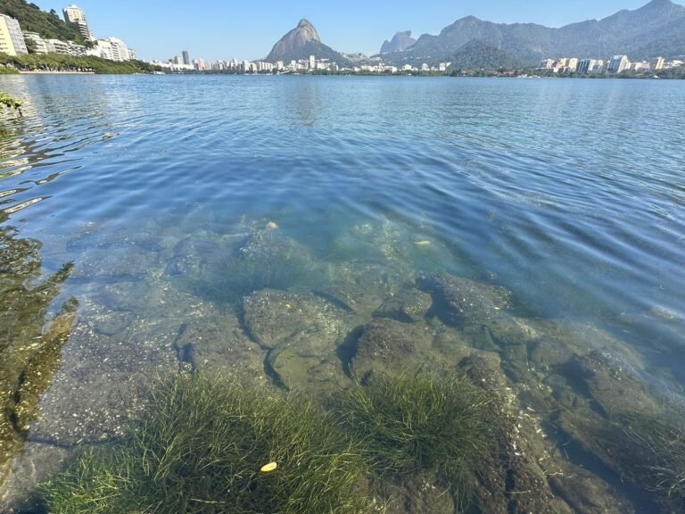Lagoa Rodrigo de Freitas 1