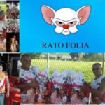 Rato Folia