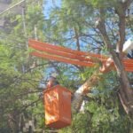 WhatsApp Image 2025-12-02 at 15.34.26