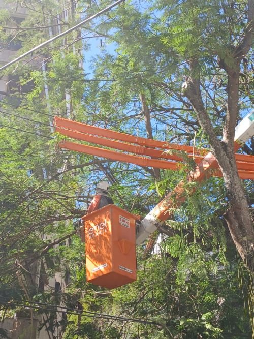 WhatsApp Image 2025-12-02 at 15.34.26