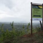 d2d19132-8593-46f6-98e1-e651d57c2425