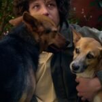 Chico Chico