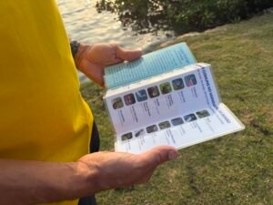 Cartilha da Águas do Rio orienta sobre espécies encontradas na Lagoa