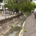 Captura-de-tela-2026-07-20-144136-e1784569026419