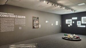 Construir o aberto_Mariana Paraizo