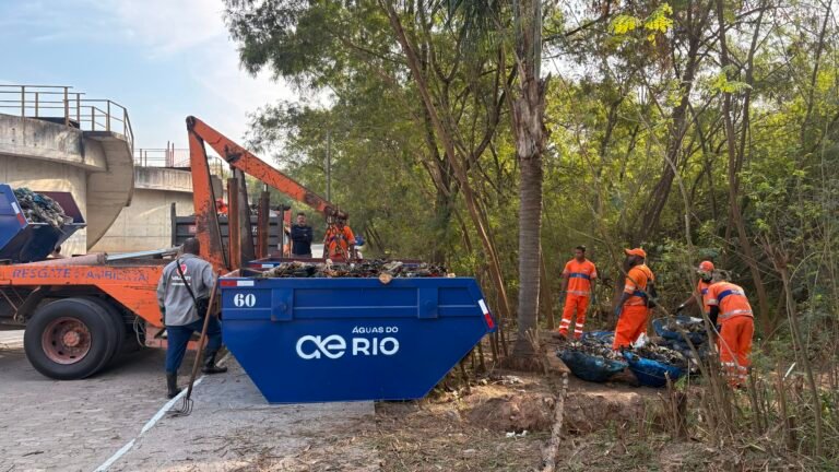 Mutirão uniu agentes da Águas do Rio e da Comlurb