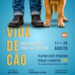 6 - Arte da peça