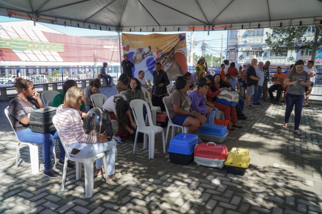 CastraPet realiza cerca de 400 castrações gratuitas de cães e gatos em Itaboraí (3)
