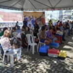 CastraPet realiza cerca de 400 castrações gratuitas de cães e gatos em Itaboraí (3)