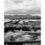 Festival Conexões Culturais de Niterói – Saberes do Mar7