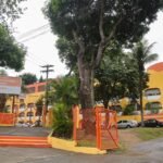E.M.-Antineia-Silveira-Miranda-Foto-Evelen-Gouvea-2