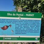 ILHA DO PONTAL FOTO 1