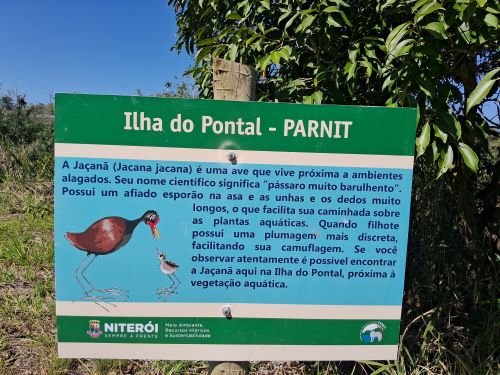 ILHA DO PONTAL FOTO 1